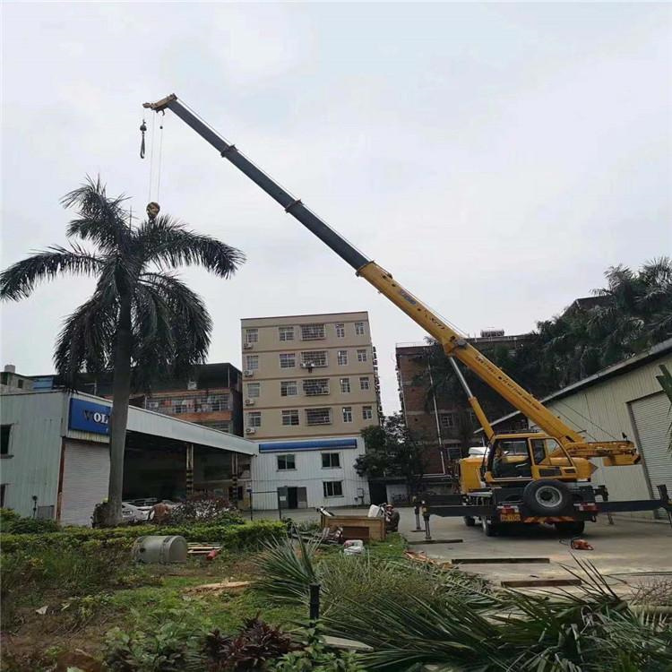 水城汽车吊出租多少钱？全面解析与市场行情